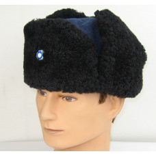 Sa turkislakki m/39, Ilmavoimat